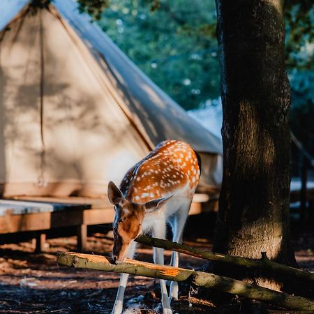 Hotel Amani - Aap Lichtaart Exteriér fotografie